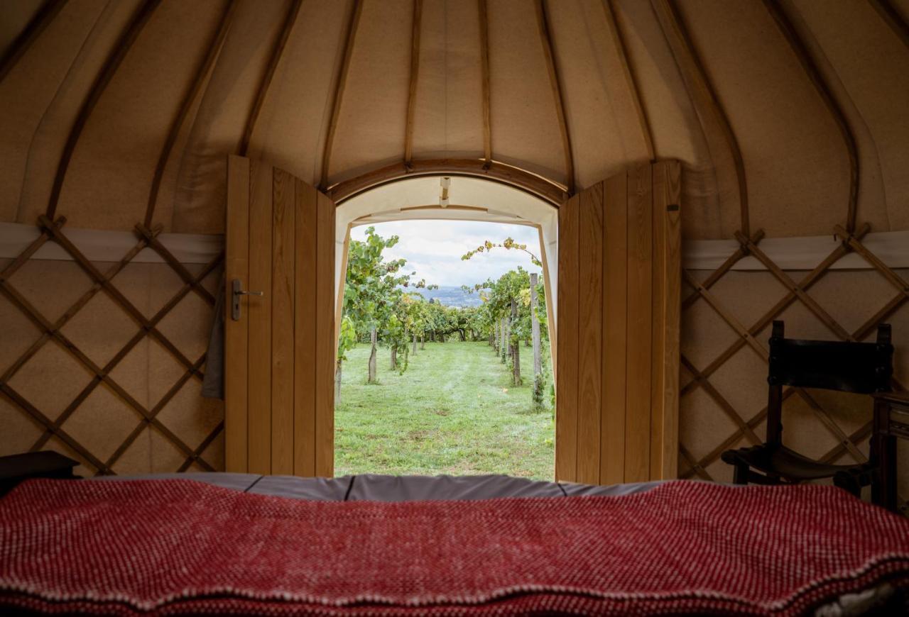 Casa Beatnik Hotel Vedra Dış mekan fotoğraf